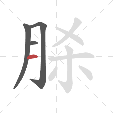 脎的笔顺第4画：横