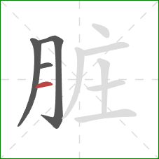 脏的笔顺第4画:横 脏的笔顺第4画:横