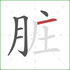 脏的笔顺第6画:横 脏的笔顺第6画:横