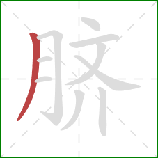 脐的笔顺第1画：撇