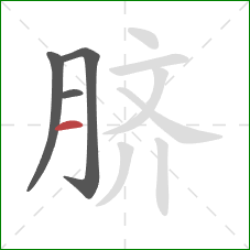 脐的笔顺第4画：横