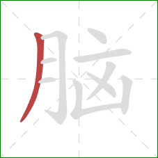 脑的笔顺第1画：撇