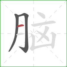 脑的笔顺第3画：横