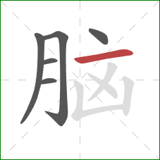 脑的笔顺第6画：横