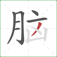 脑的笔顺第7画：撇