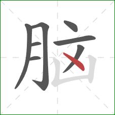 脑的笔顺第8画：点