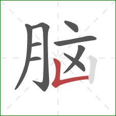 脑的笔顺第9画：竖折