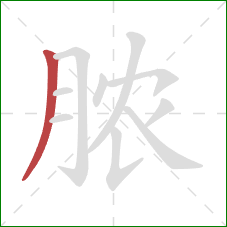 脓的笔顺第1画：撇