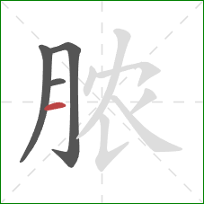 脓的笔顺第4画：横