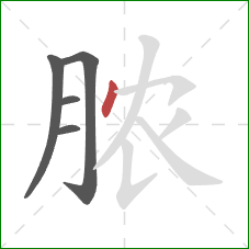 脓的笔顺第5画：点