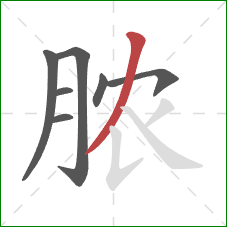 脓的笔顺第7画：撇