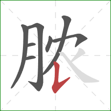 脓的笔顺第8画：竖提