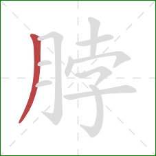 脖的笔顺第1画：撇