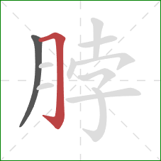 脖的笔顺第2画：横折钩