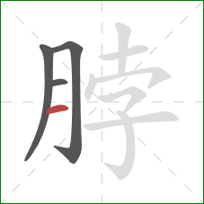 脖的笔顺第4画：横