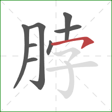 脖的笔顺第8画：横钩