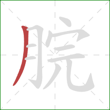 脘的笔顺第1画：撇