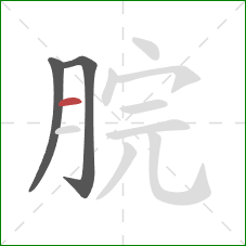 脘的笔顺第3画：横