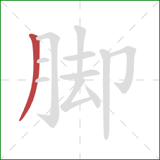 脚的笔顺第1画：撇