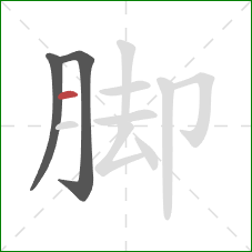 脚的笔顺第3画：横