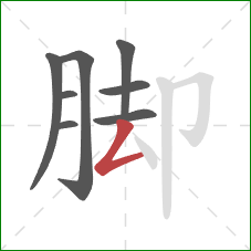 脚的笔顺第8画：撇折