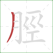 脛的笔顺第1画：撇