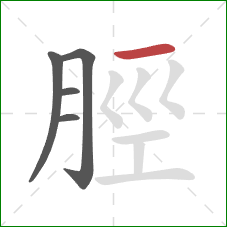 脛的笔顺第5画：横