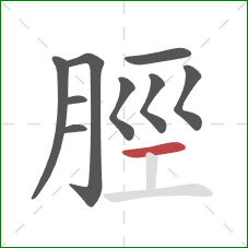 脛的笔顺第9画：横