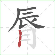 脣的笔顺第8画：竖