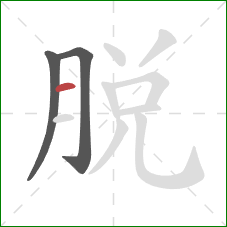 脫的笔顺第3画：横