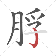 脬的笔顺第10画：竖钩
