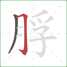 脬的笔顺第2画：横折钩