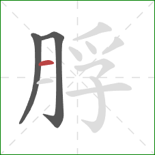 脬的笔顺第3画：横