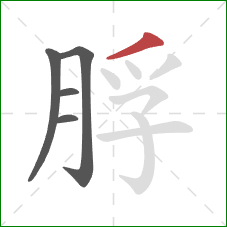 脬的笔顺第5画：撇