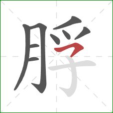 脬的笔顺第9画：横钩