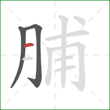 脯的笔顺第3画：横