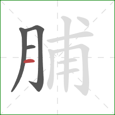 脯的笔顺第4画：横