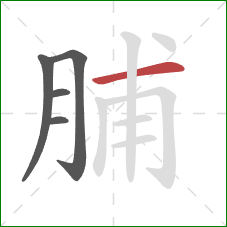 脯的笔顺第5画：横