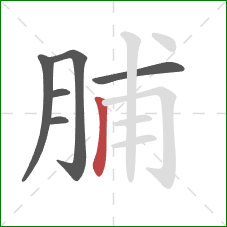 脯的笔顺第6画：竖