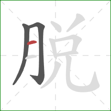 脱的笔顺第3画：横