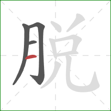 脱的笔顺第4画：横