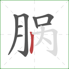 脶的笔顺第8画：竖