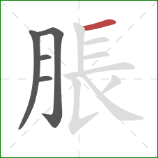 脹的笔顺第5画：横