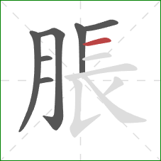 脹的笔顺第7画：横