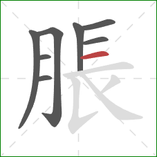 脹的笔顺第8画：横