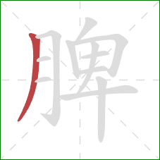 脾的笔顺第1画：撇