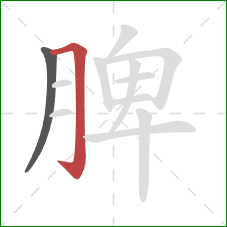 脾的笔顺第2画：横折钩