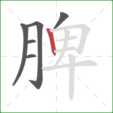 脾的笔顺第6画：竖