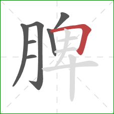 脾的笔顺第7画：横折