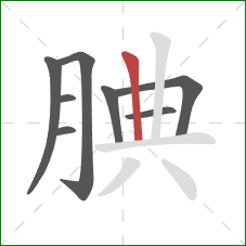 腆的笔顺第8画:竖 腆的笔顺第8画:竖